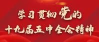 學習貫徹黨的十九屆五中全會精神